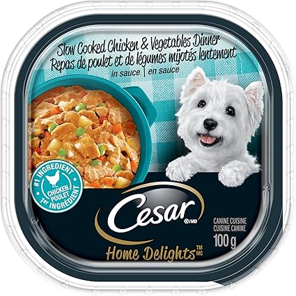 Cesar Home Delights Chicken Noodle & Vegetable 100g