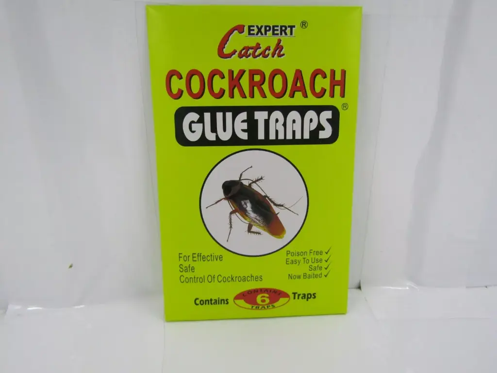Cockroach Glue Traps