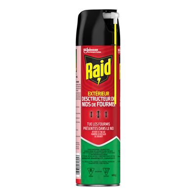 Raid Insect Spray