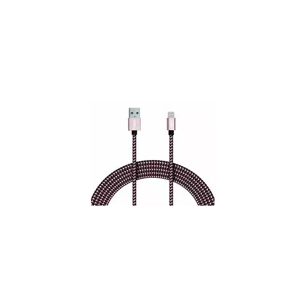 10 ft Type A to 8 Pin Cable (I Phone)