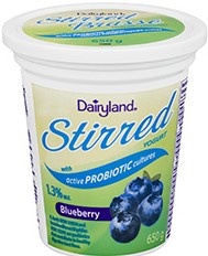 Dairylands Blueberry Yogurt 175g
