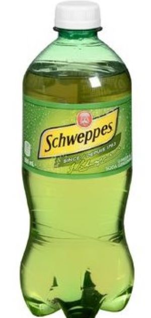 Schweppes Gingre Ale 591ml