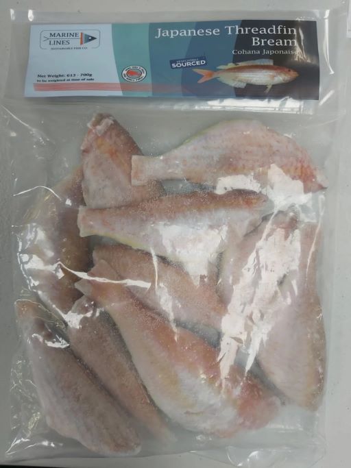 Marine Lines Japanese Threadfin/Kilimeen 1.5Lb