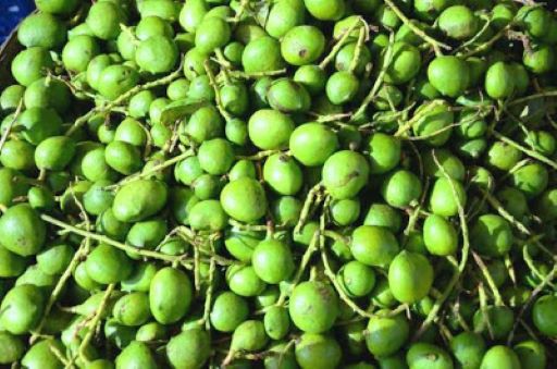Green Mango - Small (Vadumangai)