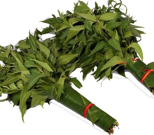 Neem Leaves ea