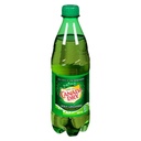 Canada Dry Ginger Ale 500ml