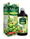 Dabur Amla Juice 1l