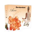 Devdarshan Aura Dhoop Lily
