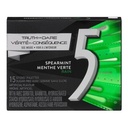 5 Brand Rain Spearmint
