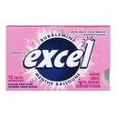 Excel Sugar Free Bubblemint 12 