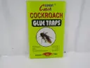 Cockroach Glue Traps