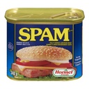 Spam Lucheon Meat 340g