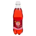 Canada Dry Ginger Ale Cranberry 500ml
