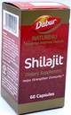 Dabur Shilajit 60Tablets